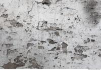 Walls Plaster 0001